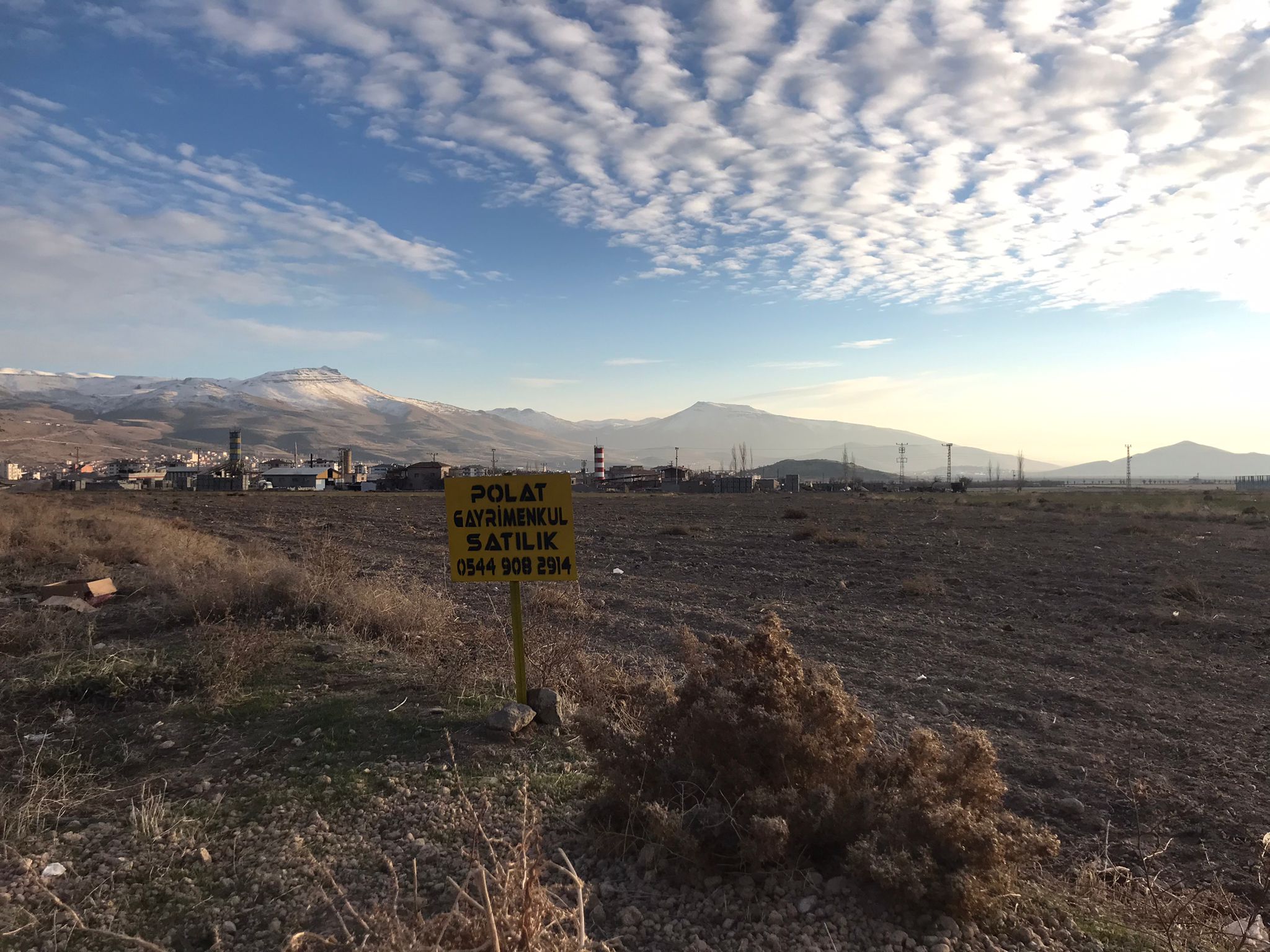 DEVELİ POLAT GAYRİMENKUL-ÜNİVERSİTE KARŞISI ASFALT YOLA SIFIR TARLA